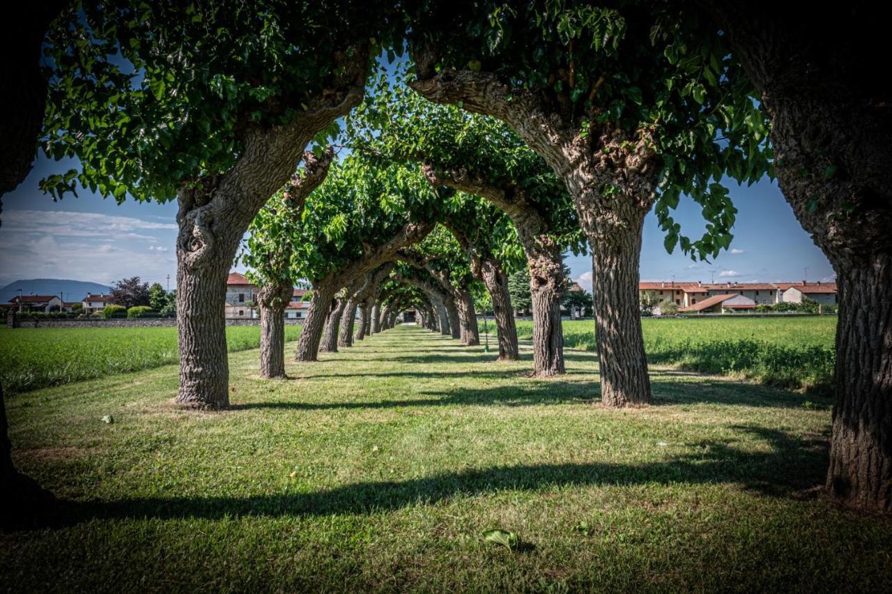Villa Minini Bed & Breakfast Rive d'Arcano Exterior photo