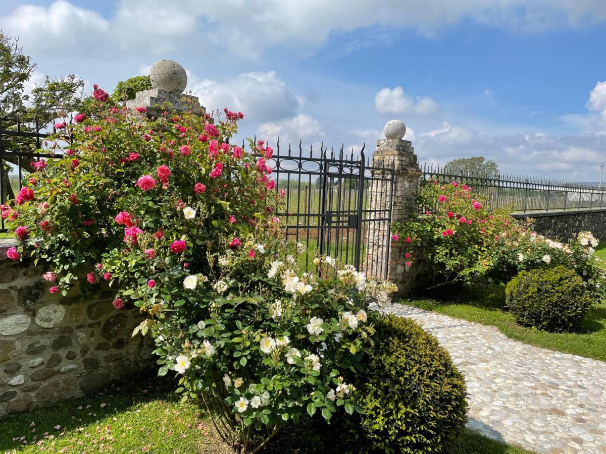 Villa Minini Bed & Breakfast Rive d'Arcano Exterior photo